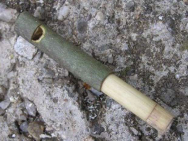sifflet a bec -02