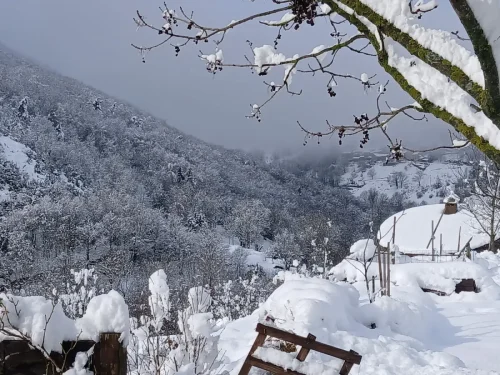 Rousses-9-fevrier-2025-004