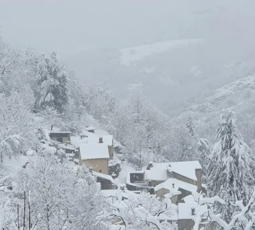 Rousses-9-fevrier-2025-006