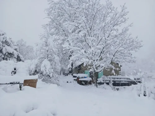 Rousses-9-fevrier-2025-009