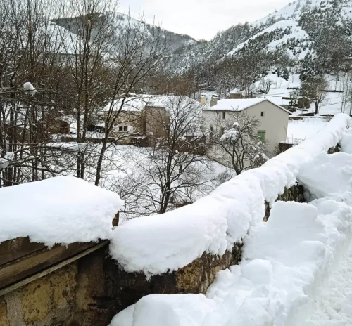 Rousses-9-fevrier-2025-012