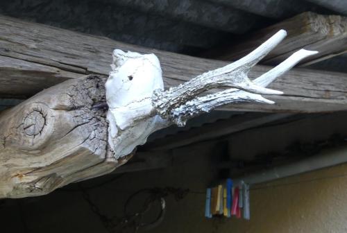 Visite ancienne maison des ablatats-18