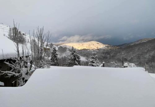 Rousses 9 fevrier 2025-002