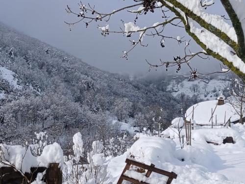 Rousses 9 fevrier 2025-004