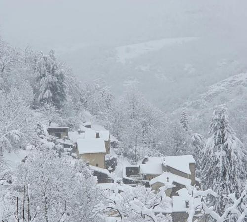 Rousses 9 fevrier 2025-006