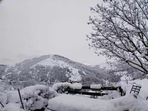 Rousses 9 fevrier 2025-008