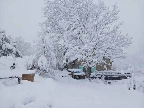 Rousses 9 fevrier 2025-009